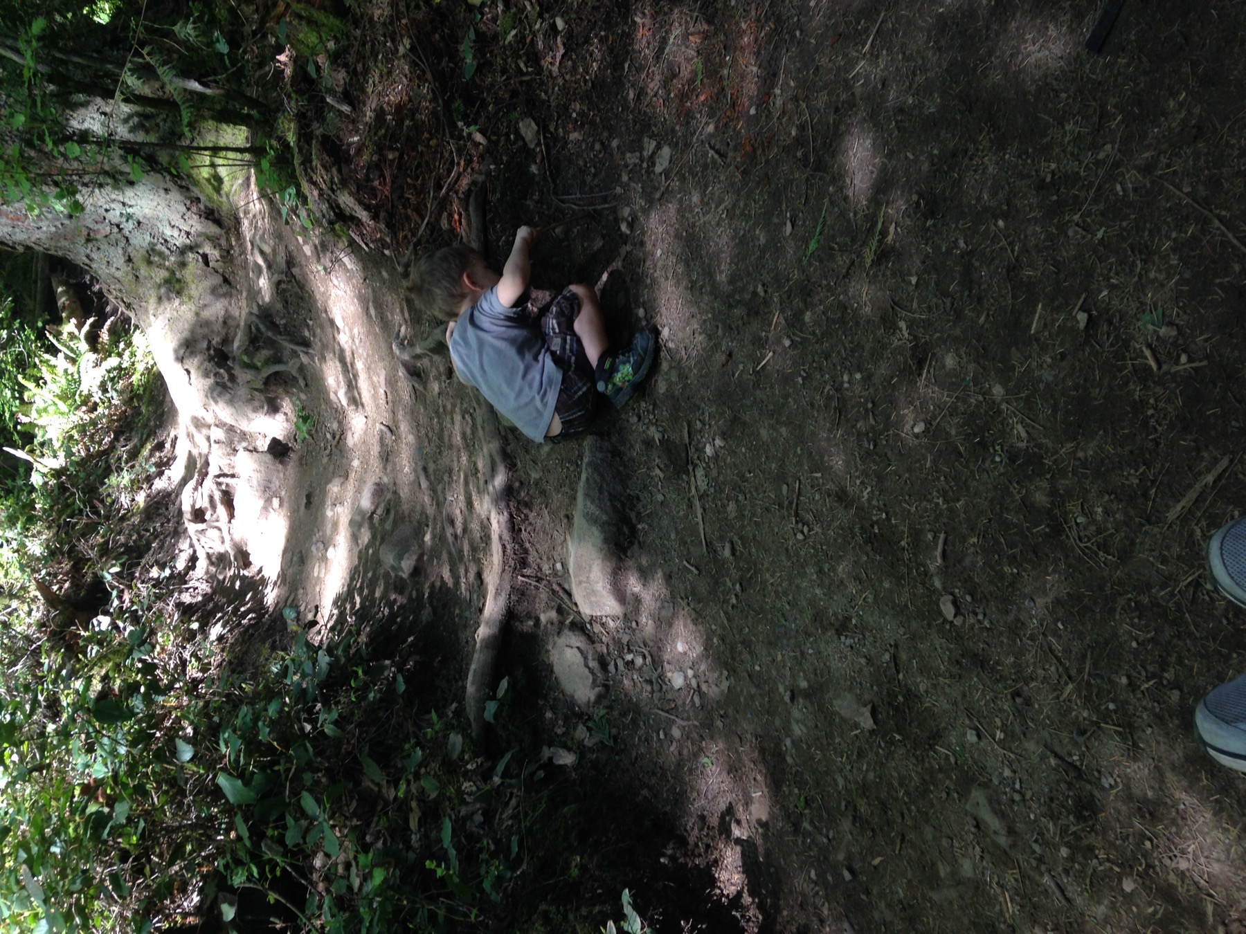 Finding Our Way photo